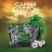 Canna Cotton 