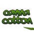 Canna Cotton (1)